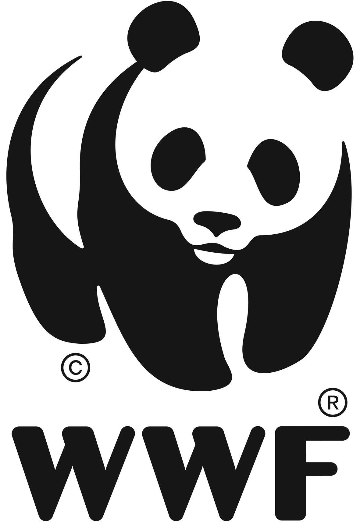 Panda WWF100